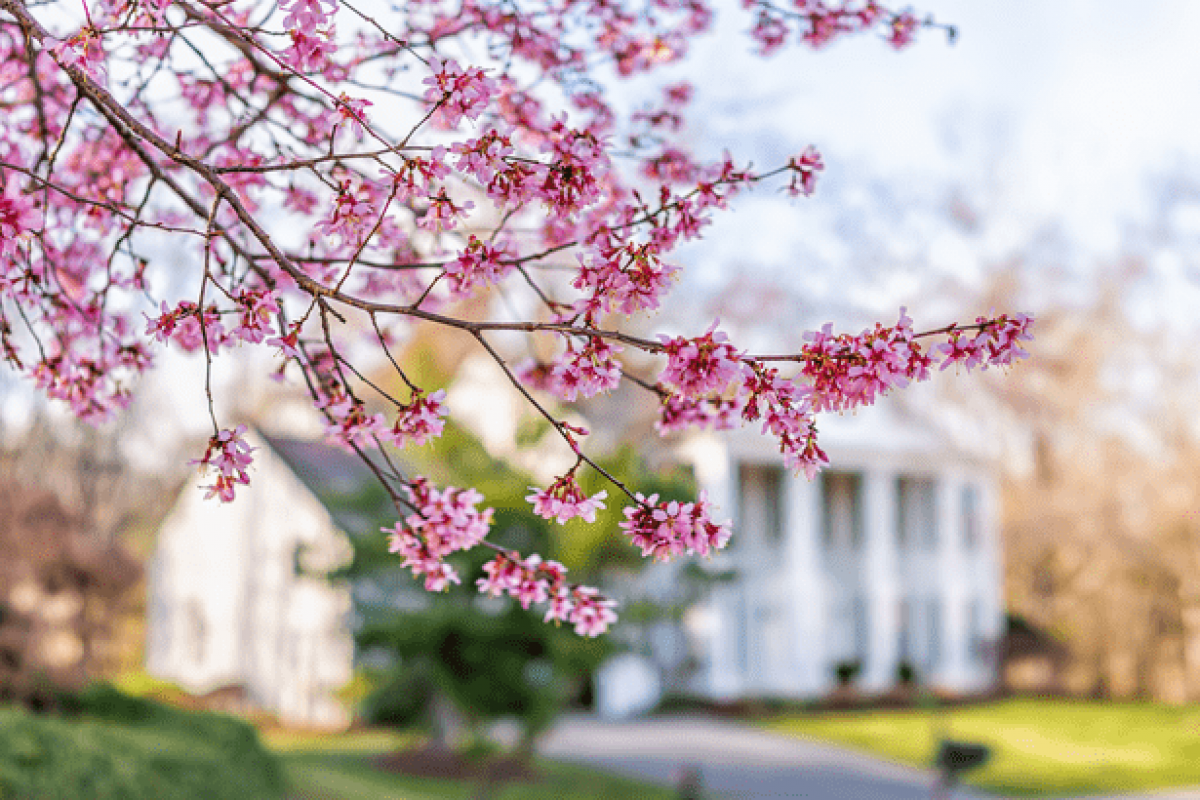 20250414-4-Ways-To-Make-an-Offer-That-Stands-Out-This-Spring-original