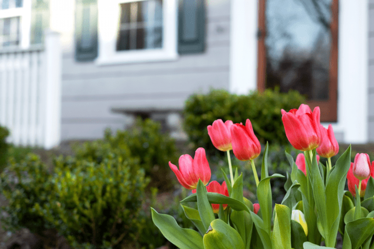 20260305-Blog-Header-Image-original